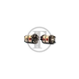 Pompa wałek PS22007195D, OT200P06+06D/G21S2/1