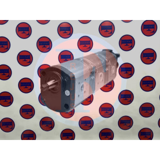 Pompa zębata, potrójna 510565382