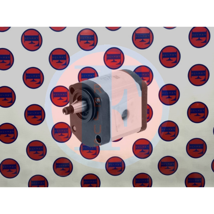 Pompa zębata, pojedyncza G2979400010010