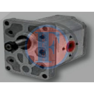 Pompa hydrauliczna 2.4529.020.0