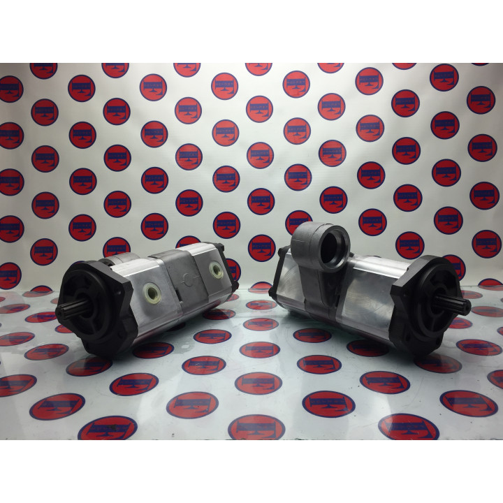 Pompa zębata, podwójna 3816911M91