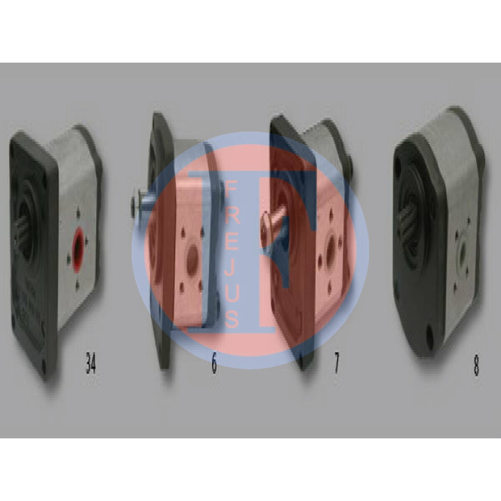 Pompa zębata, pojedyncza 2.4529.750.0