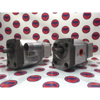 Pompa zębata, podwójna 31852330