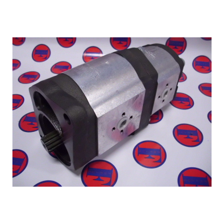 Pompa zębata, podwójna 33561800abFg.-Nr.K17307