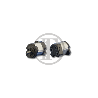 Pompa wałek 1855055M