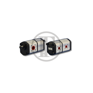 Dual hydraulic pump O&K L20.5B tapered (PG1D-230-110)