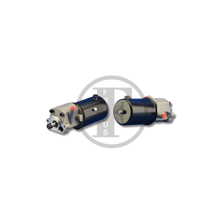 Power steering pump Massey Ferguson 290 390 (1696665M91)