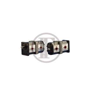 Pompa hydrauliczna 2PL1462PL146CTDFFBN 1706 do przesiewaczy Extec , Terex Finlay