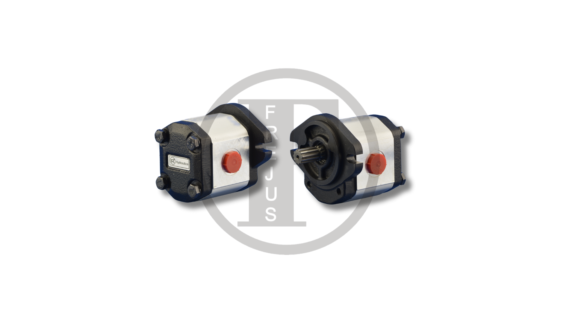 2013434 - Shaft pump