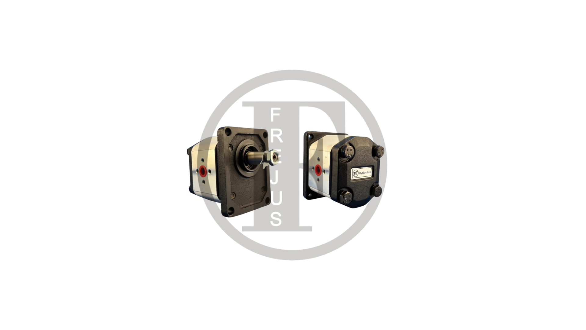 WZW0010734 - Gear motor