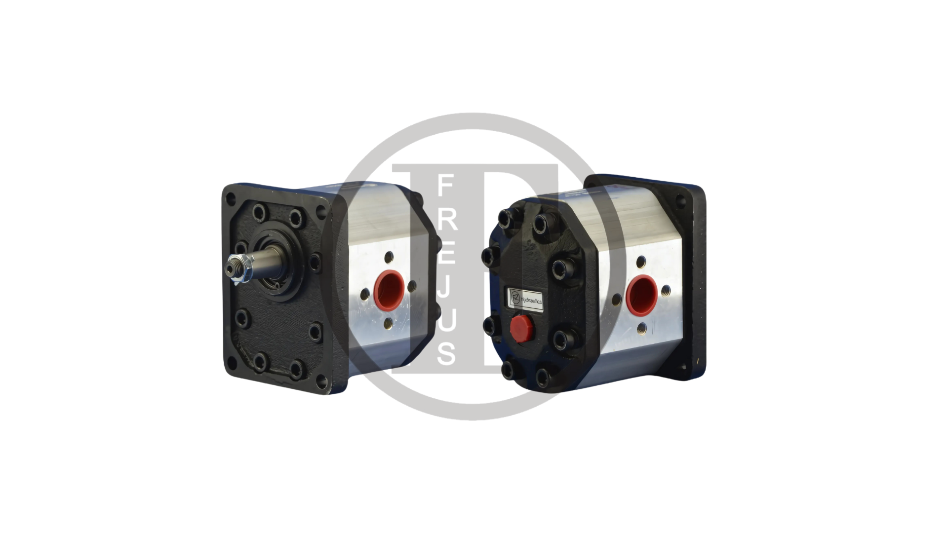2019247 - Bevel gear motor