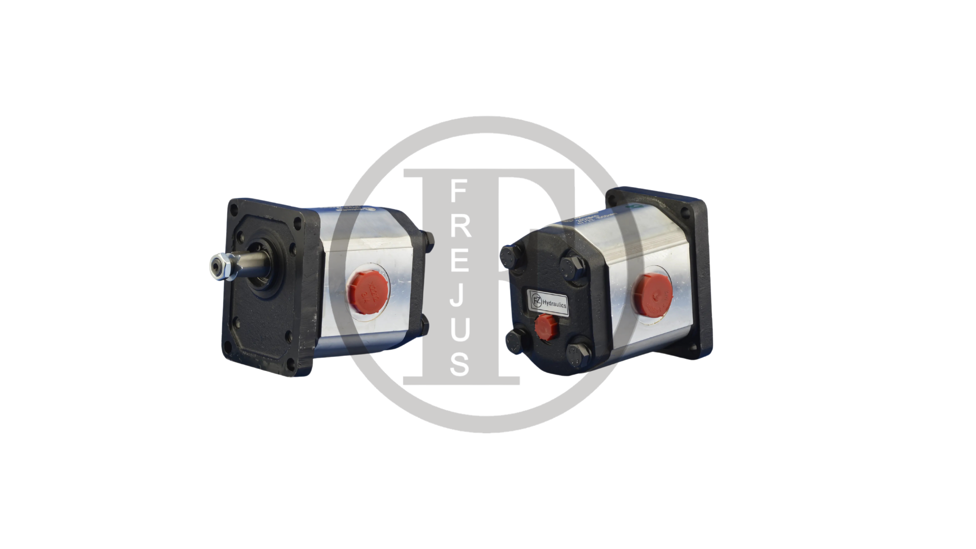 2021059 - Bevel gear motor