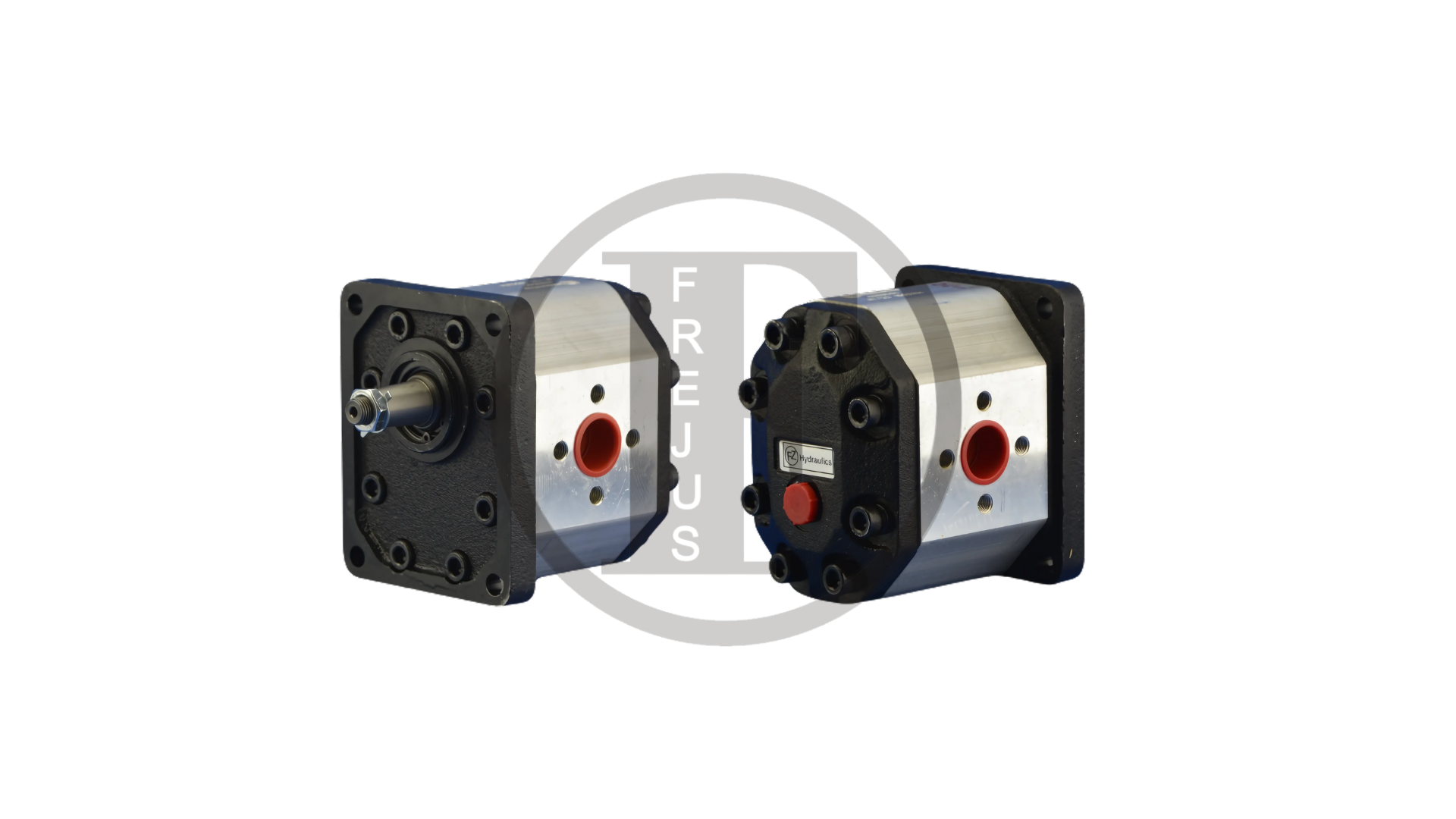 2021319 - Bevel gear motor