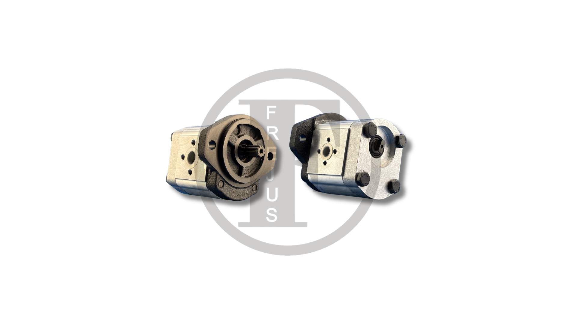 2019506 - Shaft-fin pump